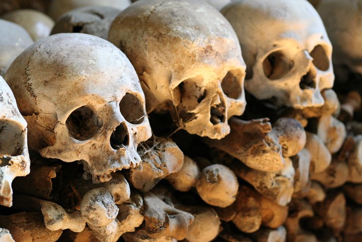 Capuchin Catacombs Fact