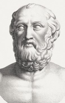 Interesting Facts about Dogs