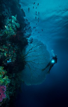 Interesting Facts about Earth