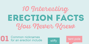 Erection Infographic