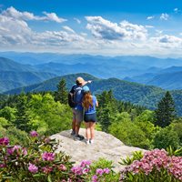 North Carolina Beauty