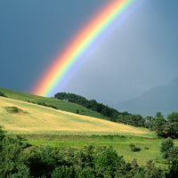 Cool Rainbow Facts