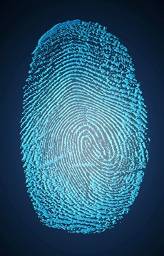 Fascinating Argentina Fact