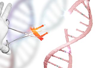 Future Cultured Meat