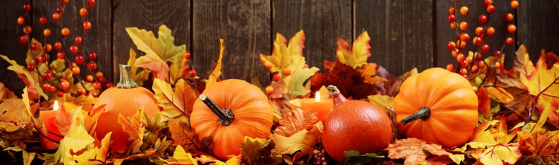 43 Colorful Fall And Autumn Facts FactRetriever
