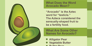 Avocado Infographic