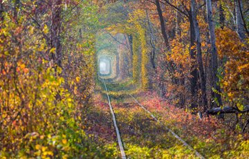 Ukraine Tunnel Love