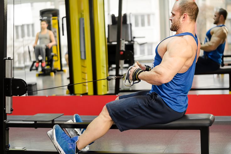 Seated Cable Row Exercise
