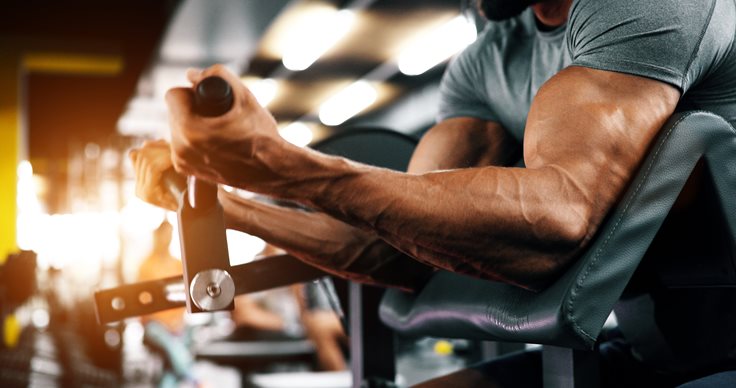 Preacher Curl Bicep Exercise