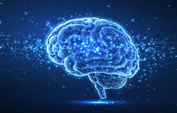 How the Human Body Works in Amazing ways