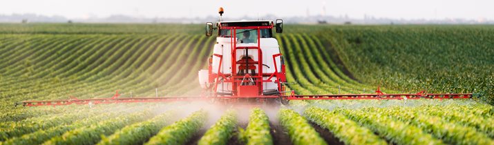 Celery Pesticide Fact