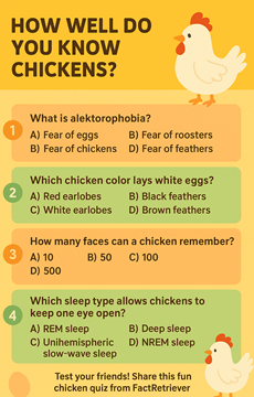 Interesting Chicken Quiz