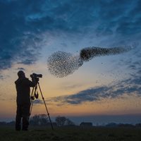 Interesting Photo Facts