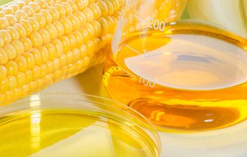 Corn Syrup Nutrition Facts