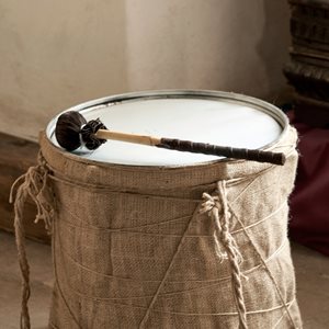Drum Facts and History