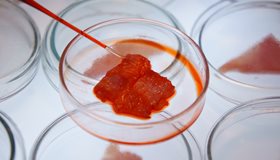 Artificial Meat Laboratory