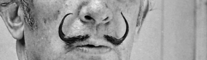Salvidor Dali Mustache