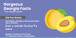 Fun Georgia Infographic