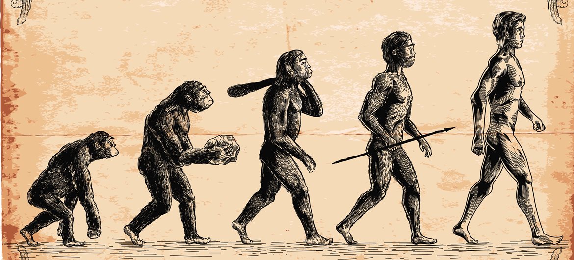 human evolution timeline for kids