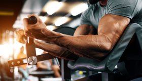 Great Bicep Exercises