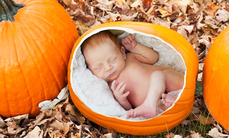 Autumn Baby Facts