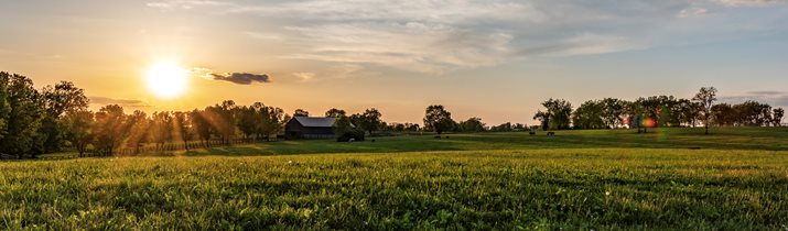 Kentucky Bluegrass Fact