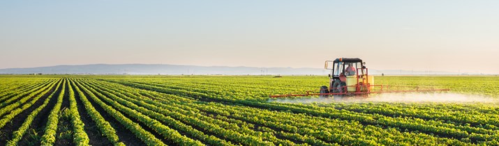 Interesting Organic Farming Fact