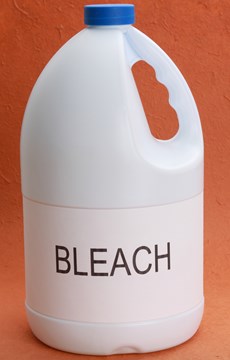 Bleach Facts