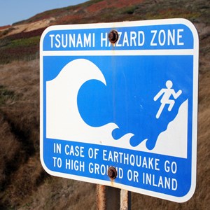 Earthquake Tsunami Facts