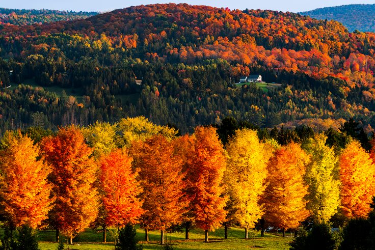 Vermont Fall Facts