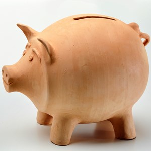 Piggy Bank Fact