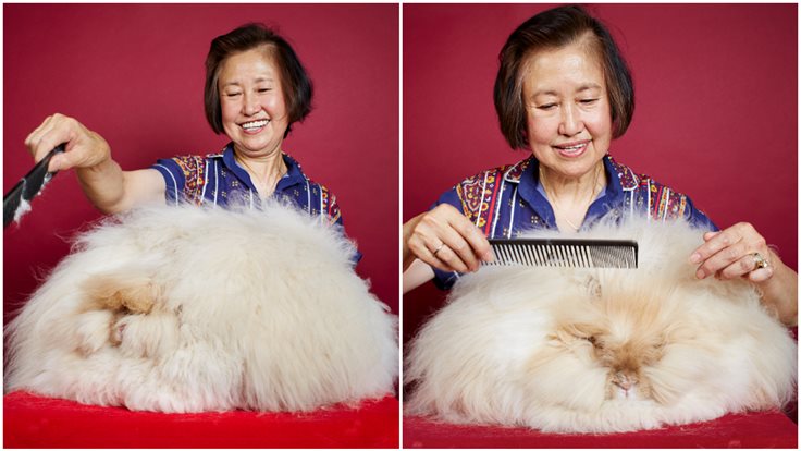 Francesca the Bunny Fact