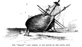 Galapagos Island Facts and Darwin