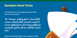 Goat Infographic Thumbnail