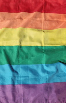 Pink Triangle Holocaust Fact