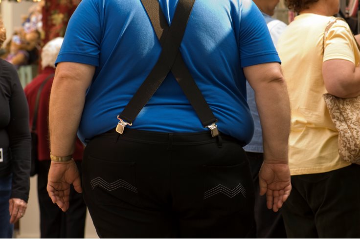 Important Obesity Fact