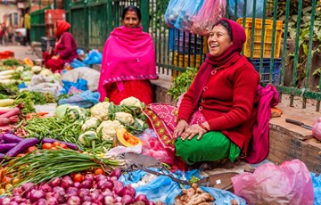 India Vegetarian Fact
