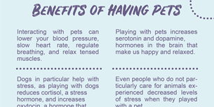 Pet Benefits Infographic Facts
