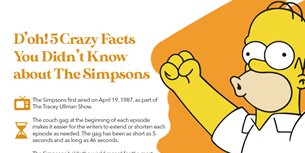 The Simpsons Infographic