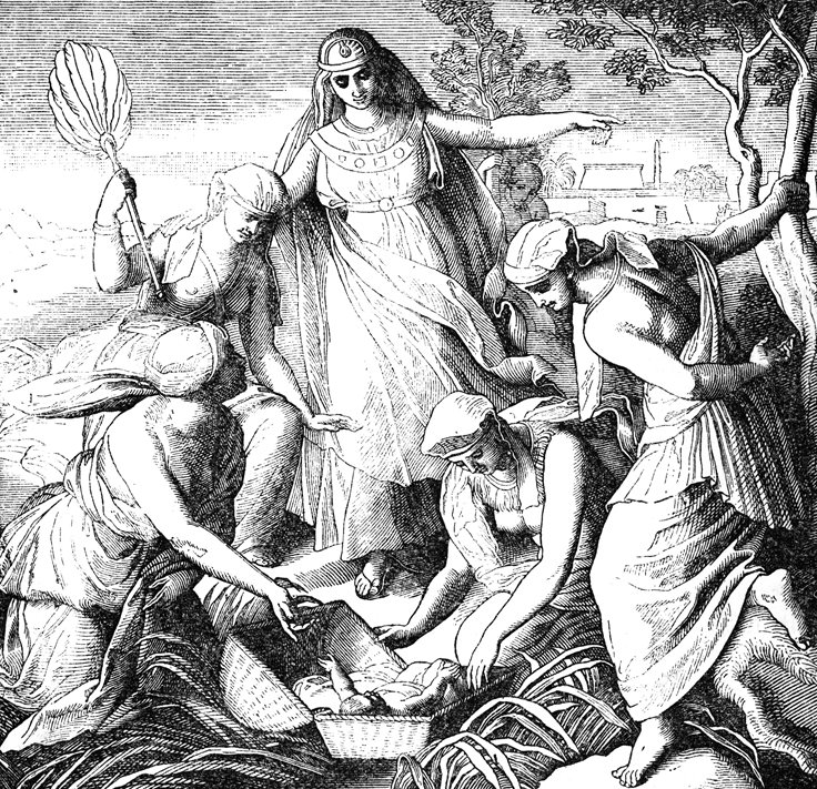 Interesting Bible Fact