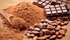 Interesting Cocoa Facts