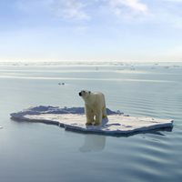 Interesting Climate Change Fact