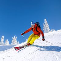 Interesting Colorado Facts