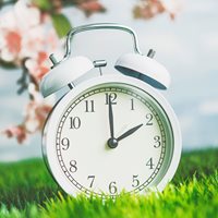 Interesting Daylight Saving Fact