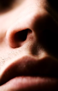 Interesting Effects of Cocaine Fact