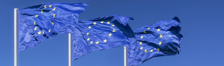 Interesting European Union Fact