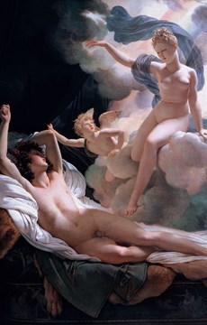 Fun Facts about Dreams