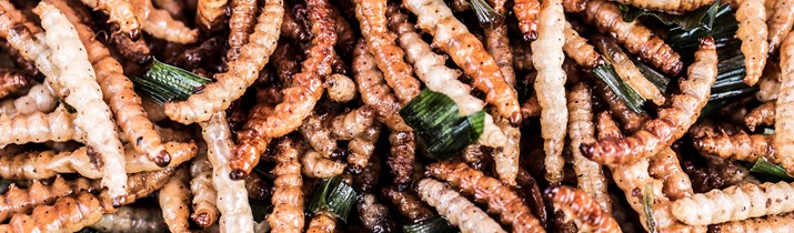 Interesting Fact about Protein