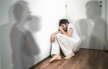 Interesting Facts about SouthPaws