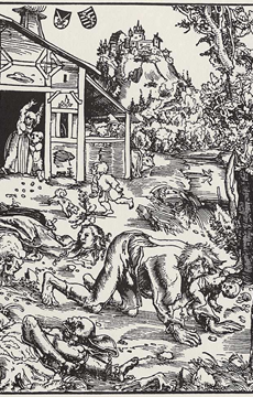 Interesting Dog Fact